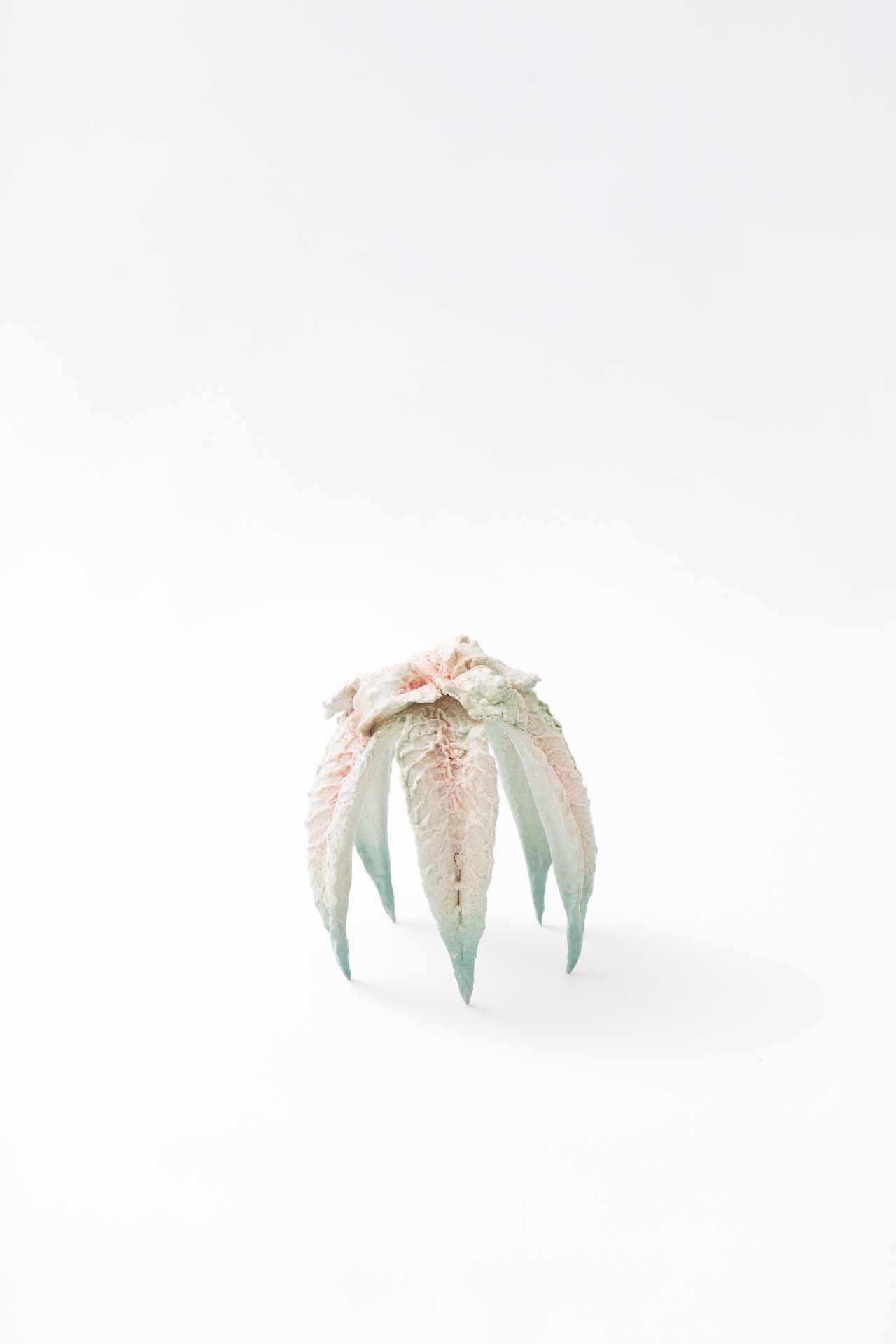 Rosette — 3