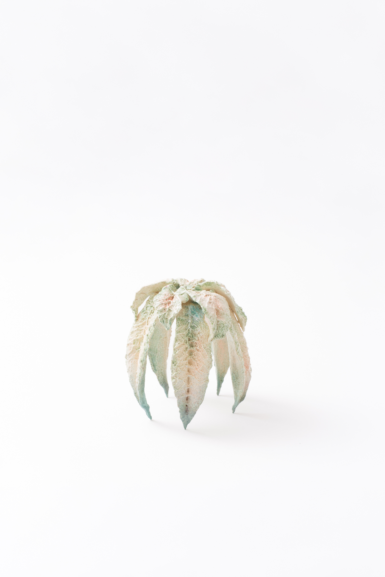 Rosette — 4