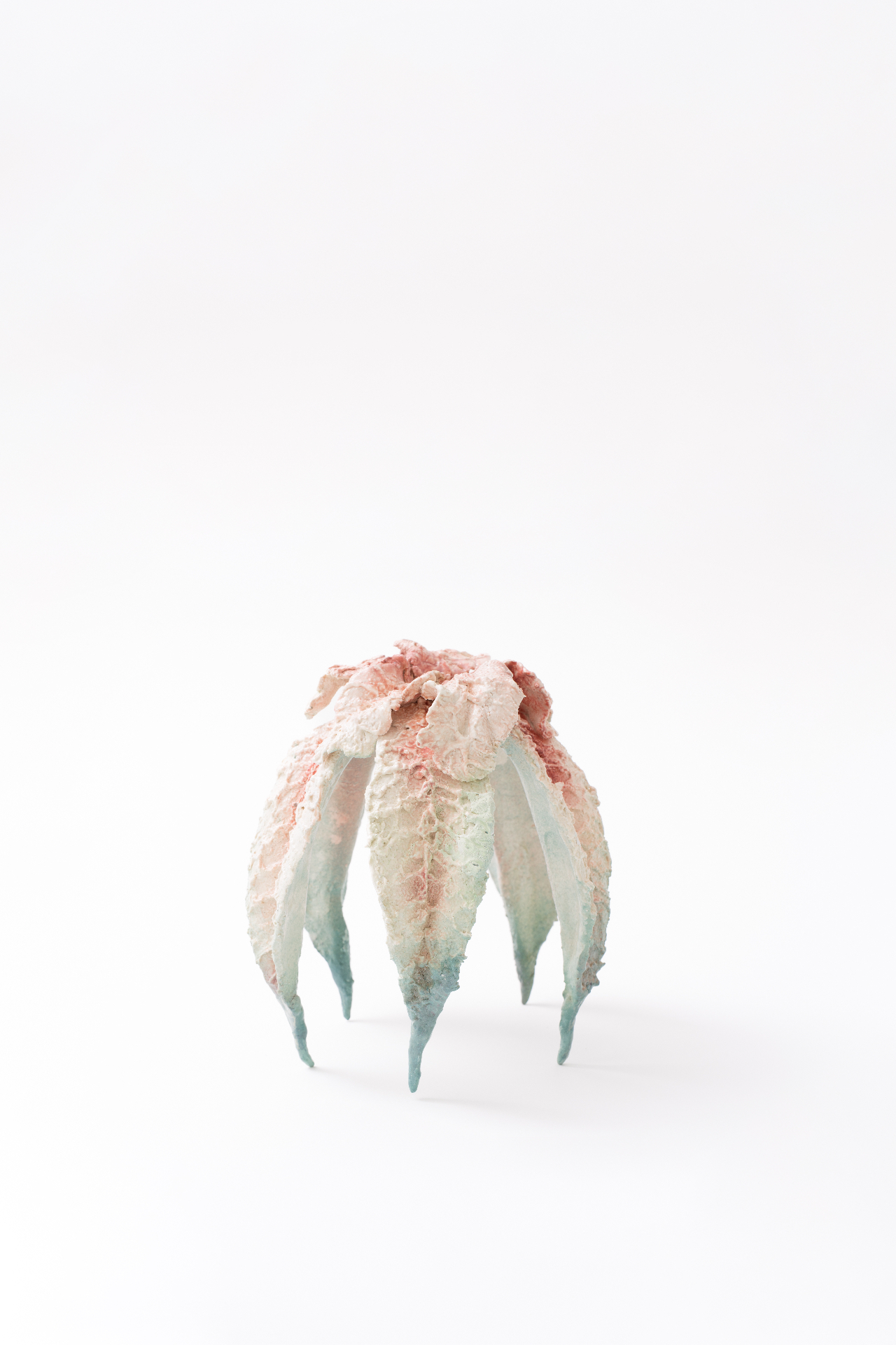 Rosette — 2